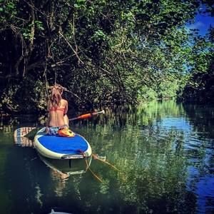 Meet your Posher, Irene